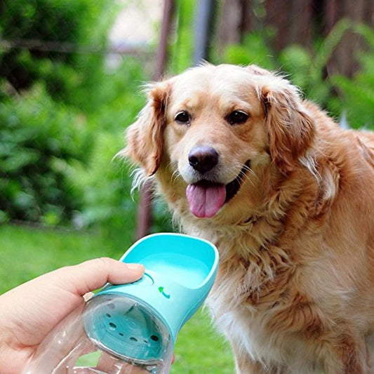 Portable Pet Water Bottle - Vibeknects