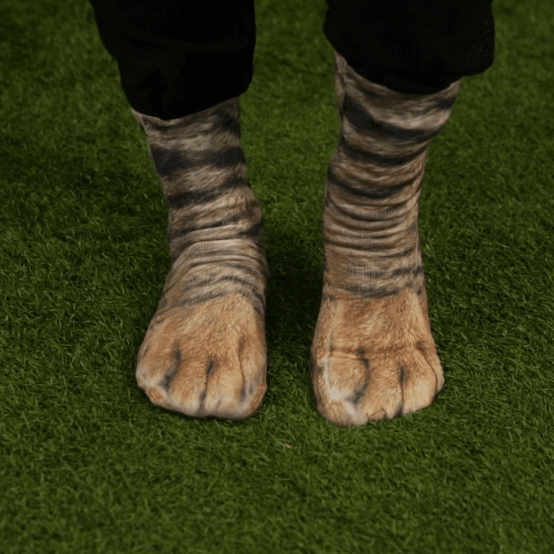 Animal Paw Crew Socks - Vibeknects