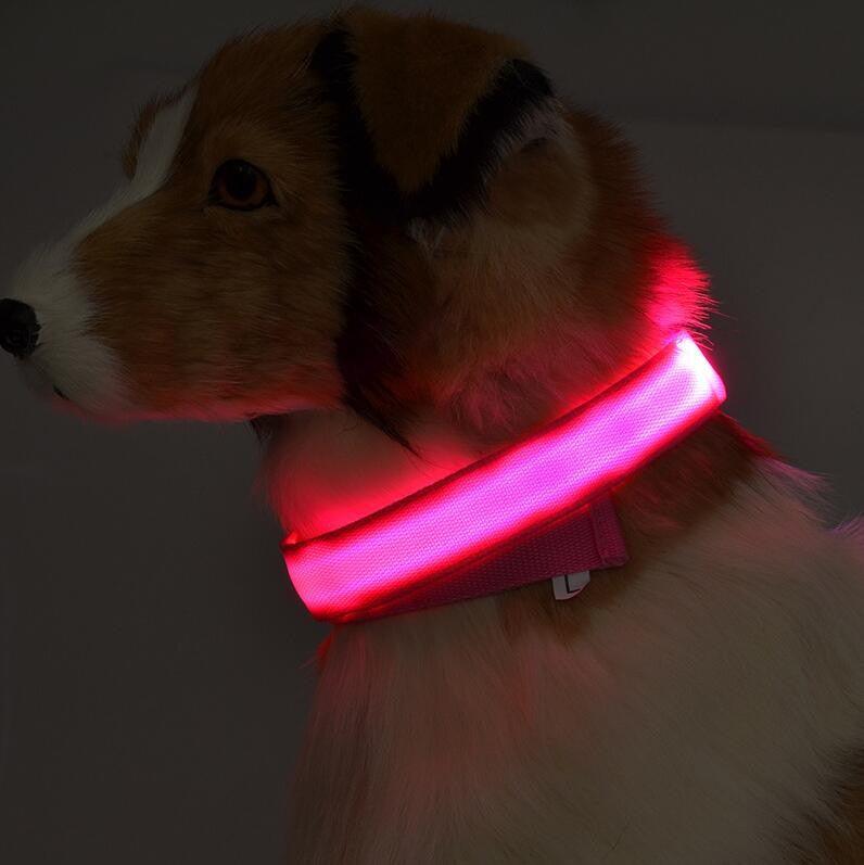 Glowing Pet Collar - Vibeknects