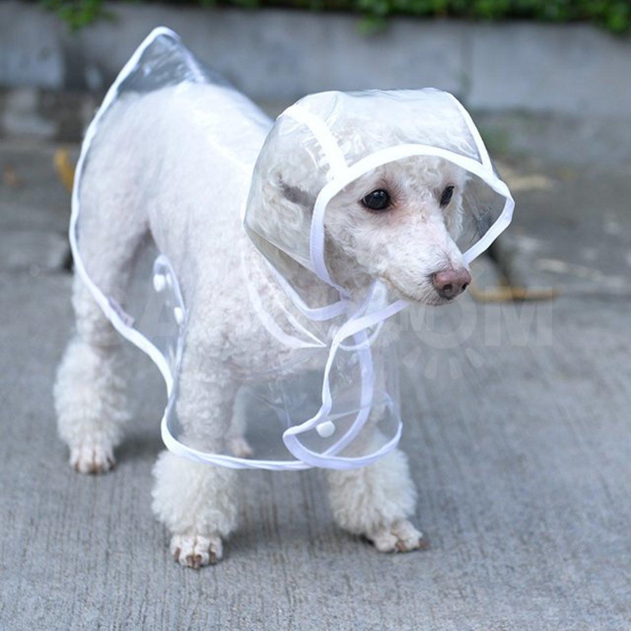 Dog Raincoat - Vibeknects