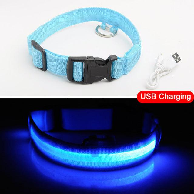 Glowing Pet Collar - Vibeknects