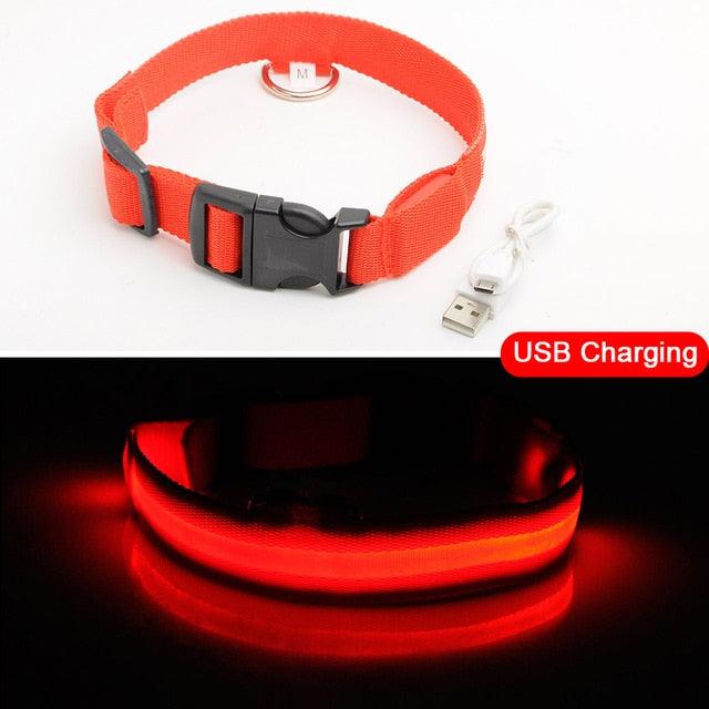 Glowing Pet Collar - Vibeknects