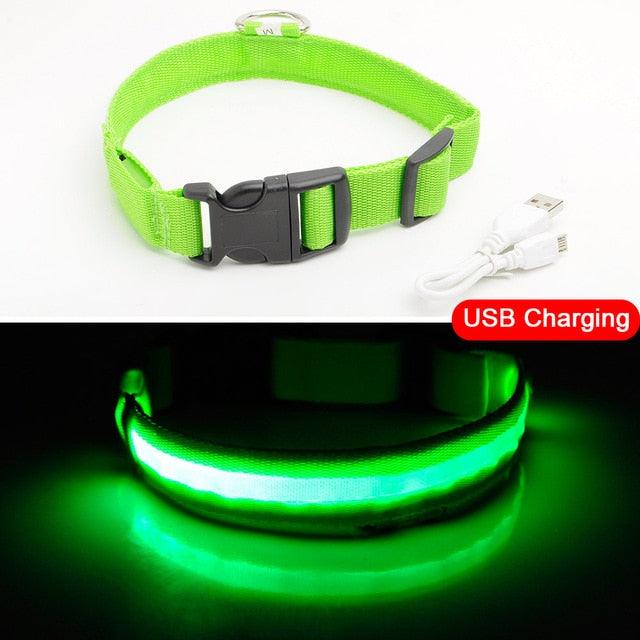 Glowing Pet Collar - Vibeknects