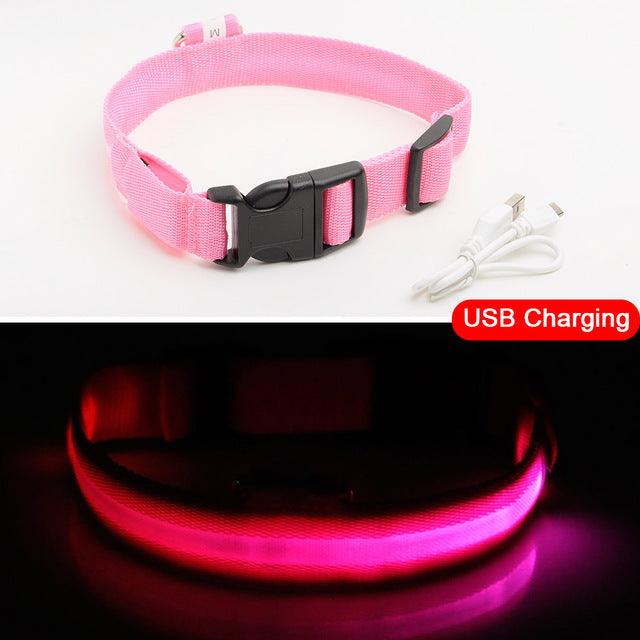 Glowing Pet Collar - Vibeknects