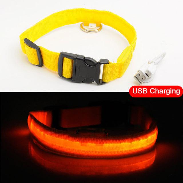 Glowing Pet Collar - Vibeknects