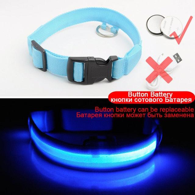 Glowing Pet Collar - Vibeknects