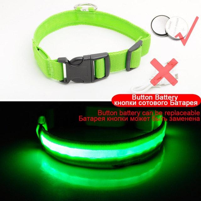 Glowing Pet Collar - Vibeknects